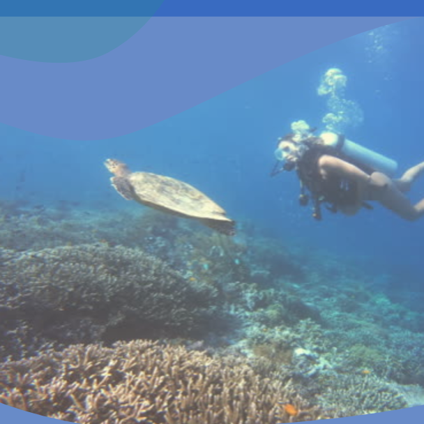 Il corso PADI Junior Advanced Open Water Diver è progettato per giovani subacquei che desiderano espandere le loro abilità subacquee e esplorare nuove attività subacquee. 