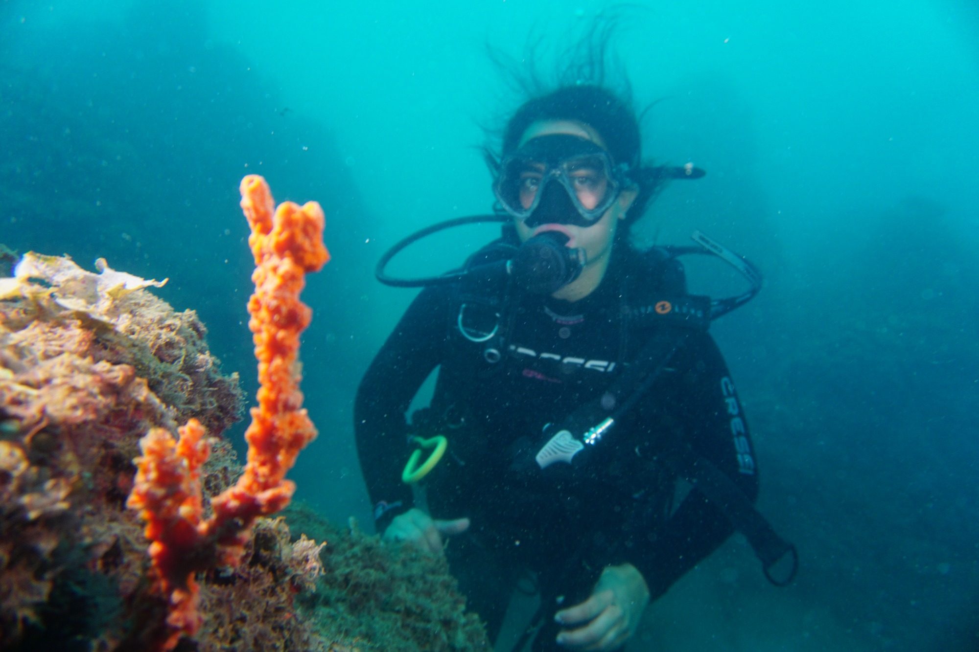 una donna subacquea che ammira una axinella su una parete a Polignano a mare con diving puglia D.C.