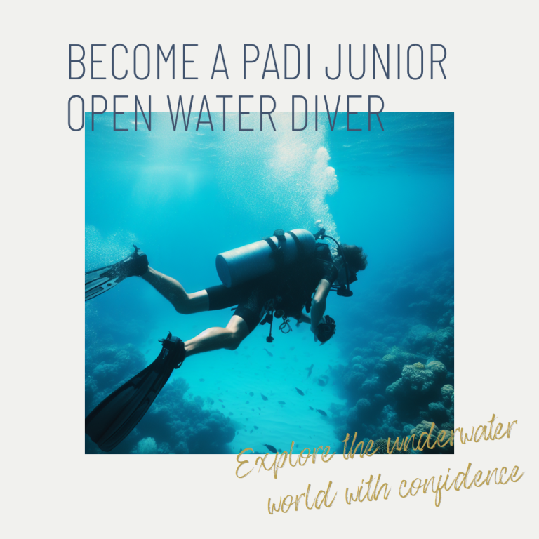 Il primo passo nel mondo delle immersioni certificate. Permette ai ragazzi di immergersi fino a 12 metri sotto la diretta supervisione di un PADI Professional.